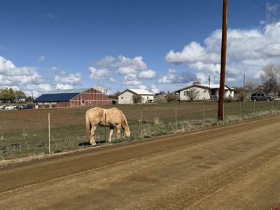 /international/us/17241-road-24-dolores-co-110098496024/