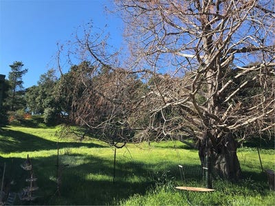 /international/us/4275-wall-street-cambria-ca-110097286437/?lang=en