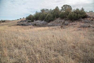 /international/us/lot-5-dave-s-dunes-2nd-burwell-ne-110096961314/?lang=zh-cn