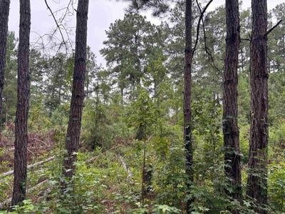 /international/us/mcgregor-st-lot-11-d-lake-city-sc-110101481510/
