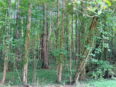 /international/us/pettit-road-lot-1-jasper-ga-110120754324/