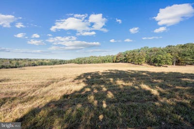 /international/us/gun-club-road-lot-5-stephenson-va-110102997934/