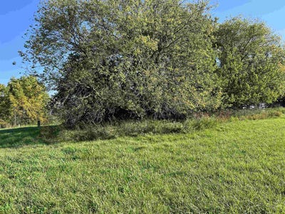 /international/us/3521-shady-lane-lake-carroll-il-110087423808/