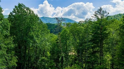 /international/us/n-fork-new-river-road-lot-3-lansing-nc-110105958833/