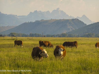 /international/us/120-acres-s-park-loop-rd-jackson-wy-110108357502/