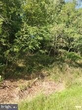 /international/us/lewisberry-road-york-haven-pa-110105326737/