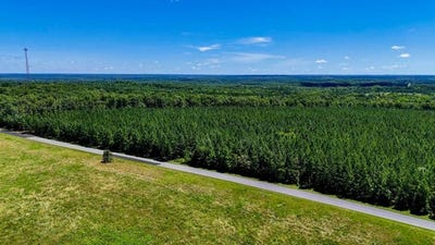 /international/us/1085-white-oak-forks-road-virgilina-va-110100684854/