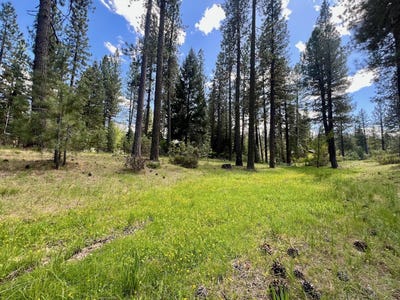/international/us/375-eureka-springs-drive-blairsden-ca-110104437134/