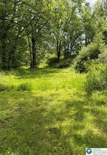 /international/us/belvidere-corner-road-upper-mt-bethel-twp-pa-110110010263/