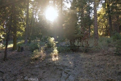 /international/us/20-burnt-mill-canyon-road-cedarpines-park-ca-110098520652/?lang=zh-tw