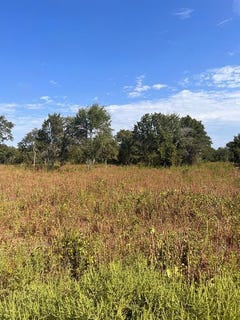 /international/us/156-doe-nocona-tx-110100252689/