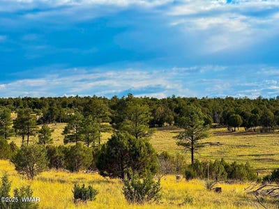 /international/us/tbd-flake-lots-n-k-2-54-acres-aripine-az-110101114465/?lang=en
