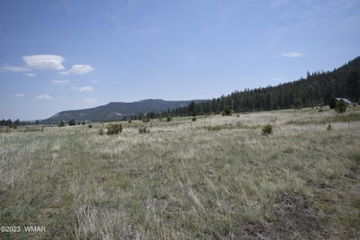 /international/us/tbd-cr-2275-1-22-acre-nutrioso-az-110087203215/