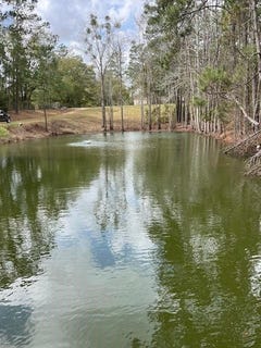 /international/us/909-cox-ave-bainbridge-ga-110098339000/