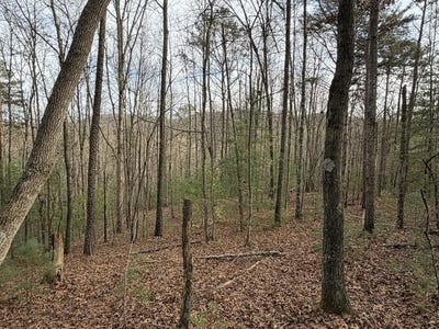 /international/us/83-acres-cutcane-road-mineral-bluff-ga-110104416051/