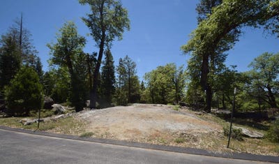 /international/us/42844-garnet-lane-shaver-lake-ca-110107436470/