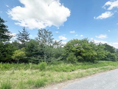 /international/us/000-shady-oaks-shore-forsyth-mo-110101029826/