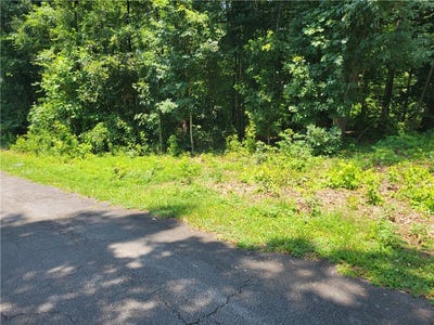 /international/us/fox-fire-road-central-sc-110109066596/