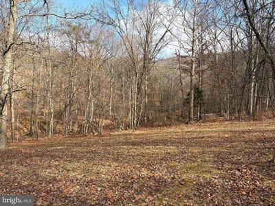 /international/us/16-rolling-acres-drive-old-fields-wv-110104903588/