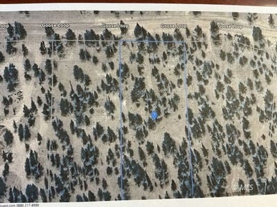 /international/us/goose-lp-alturas-ca-110102052964/