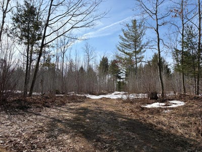 /international/us/on-hwy-70-park-falls-wi-110106954108/