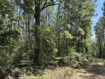 /international/us/1354-county-road-2603-shelbyville-tx-110109186241/