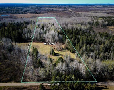 /international/us/12905-township-road-d-wawina-mn-110108468045/