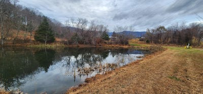 /international/us/10401-callaway-rd-callaway-va-110108547828/