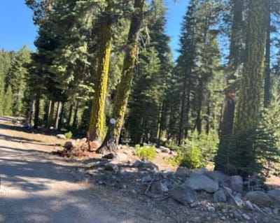 /international/us/0000-logging-rd-viola-ca-110108091209/