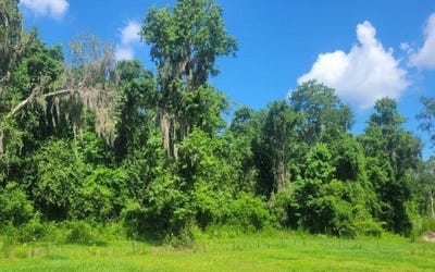 /international/us/live-oak-fl-110109184279/