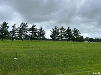 /international/us/lot-21-guinan-street-petersburg-il-110092098722/?lang=zh-tw