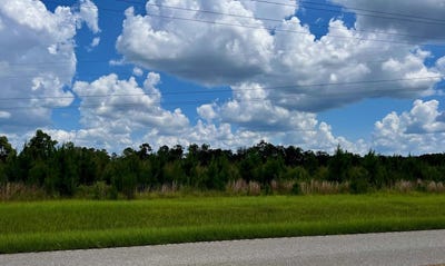 /international/us/solomon-dairy-road-quincy-fl-110101167448/