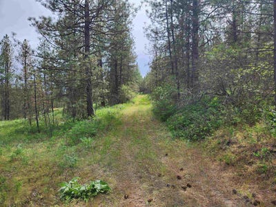 /international/us/6269-miller-mountain-rd-fruitland-wa-110108234570/