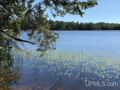 /international/us/8713-n-boot-lake-manistique-mi-110101070548/