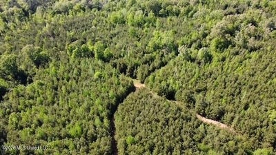/international/us/sw-auburn-drive-bogue-chitto-ms-110107258519/