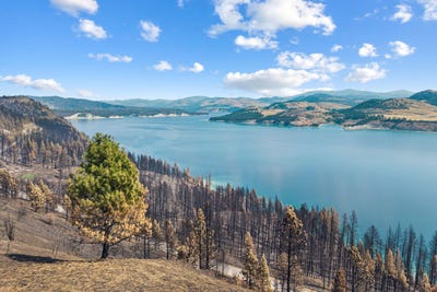 /international/us/329x-silver-creek-rd-inchelium-wa-110109993917/