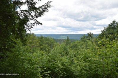 /international/us/l15-1-high-pine-meadows-road-fulton-ny-110092893755/?lang=zh-tw