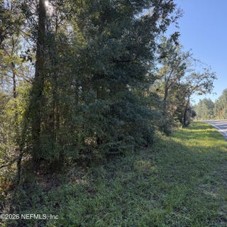 /international/us/0190-n-county-rd-315-interlachen-fl-110120510603/