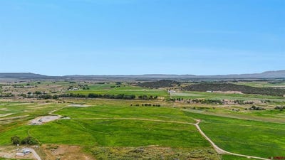 /international/us/2337-county-road-516-bayfield-co-110102156620/