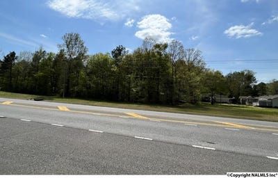 /international/us/chesnut-bypass-centre-al-110089437386/