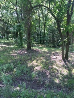 /international/us/26-meadow-6-lots-lane-mound-city-ks-110099983663/