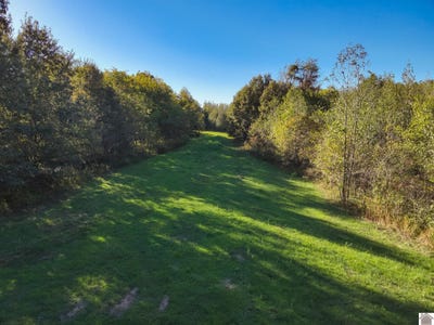 /international/us/115-county-road-1039-bardwell-ky-110108230872/