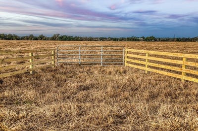 /international/us/tbd-county-road-318-caldwell-tx-110106468857/