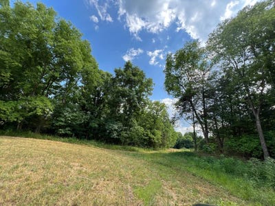 /international/us/lot-41-riverside-subdivision-burkesville-ky-110095824487/