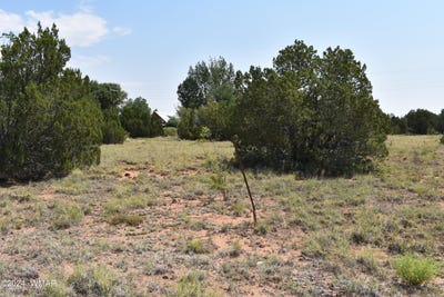 /international/us/72-dawn-lane-concho-az-110090693001/