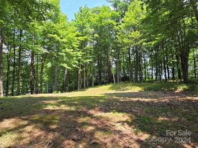 /international/us/vista-ridge-road-lot-13-fleetwood-nc-110093989515/?lang=zh-tw