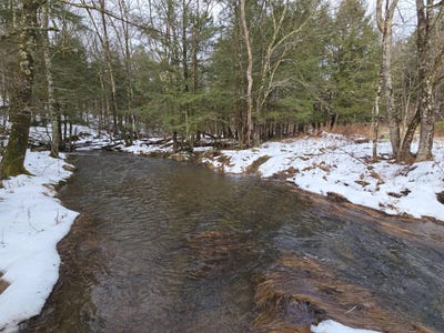 /international/us/0wp-junction-rd-guilford-ny-110104786418/