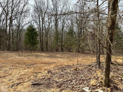 /international/us/raby-road-lot-2-harrisburg-ar-110107686783/