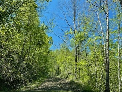 /international/us/9999-hooker-branch-road-barbourville-ky-110102319062/