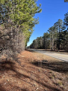 /international/us/tbd-swansea-road-tract-b-swansea-sc-110097022594/?lang=zh-tw